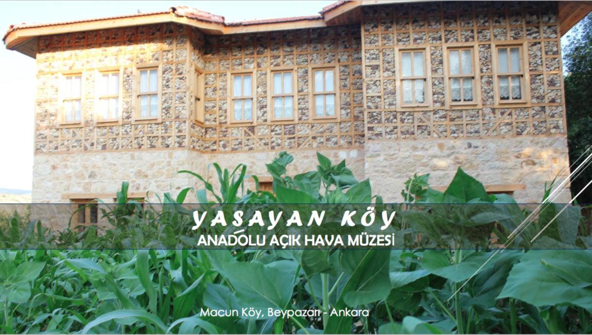 Отель Yasayan Koy Kizilcasogut Экстерьер фото